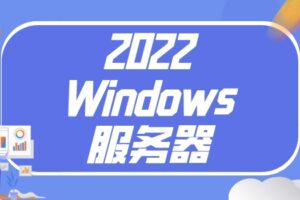 2022年Windows服务器排名