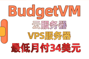 BudgetVM 云服务器&VPS服务器&SSD VPS低价福利 最低只需月付34.00美元特色图片