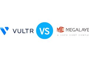 2023年Vultr VS Megalayer 美国独立服务器产品对比